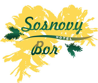 Sosnovy Bor Inn